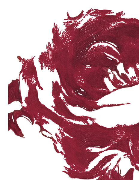 Red Rose abstract.1 by NDZ Designs