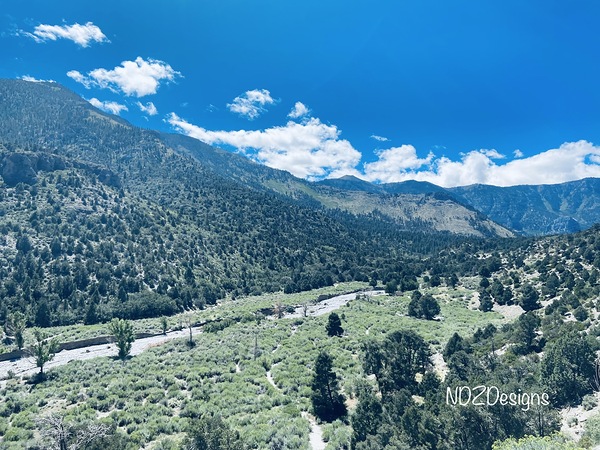 Hiking Trail by NDZ Designs