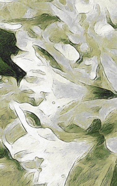 Line green abstract by NDZ Designs