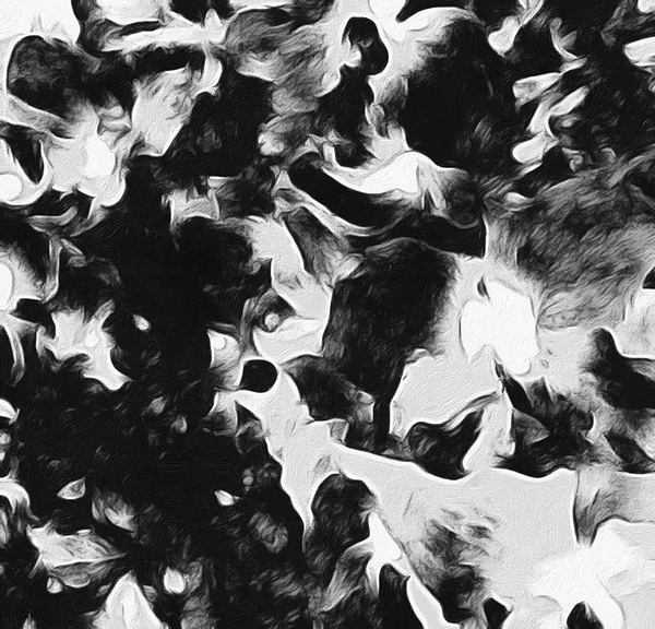 midnight floral by NDZ Designs