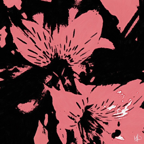 black pink by NDZ Designs