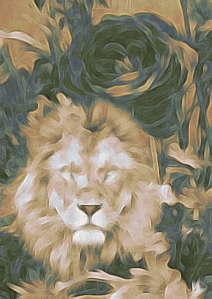 leo rose  Print