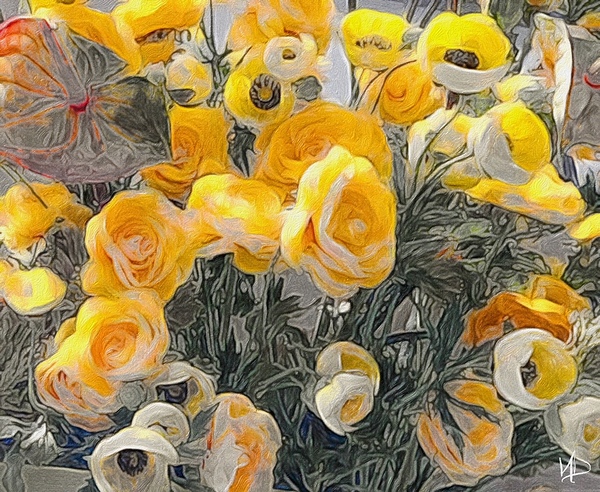 white yellow roses by NDZ Designs