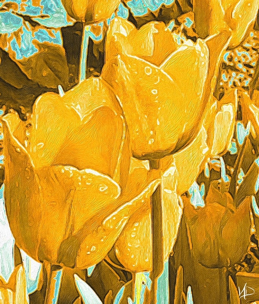 yellow tulips by NDZ Designs