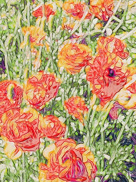 Orange Floral Print