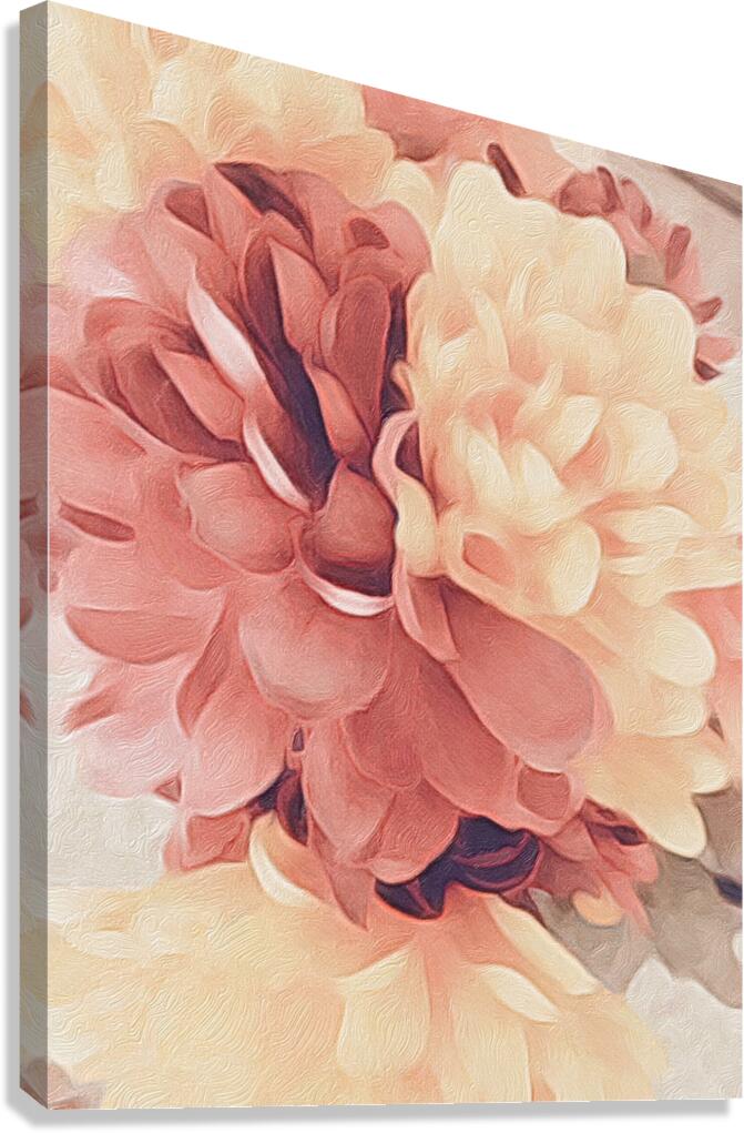 blooming flower Canvas Print