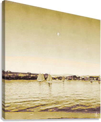 Full moon marina Canvas Print