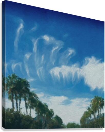 whimsical clouds2 Canvas Print