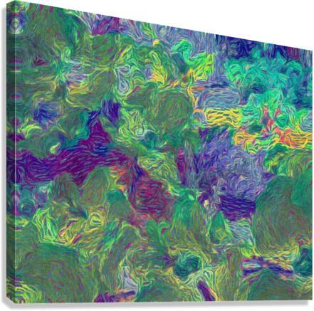 enchanted colors Canvas Print