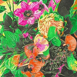 tropical