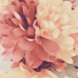 blooming flower