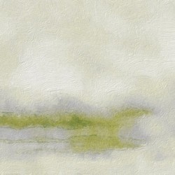Misty Forest