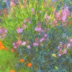 english garden