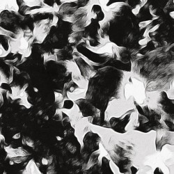 midnight floral