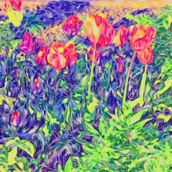 floral breeze