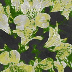 sugar sage