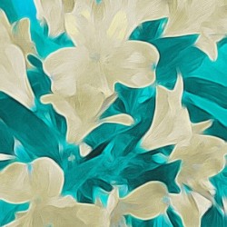vanilla turquoise