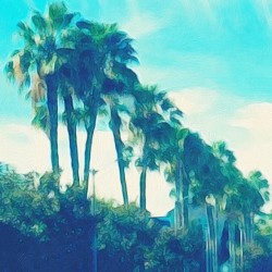 watercolor palm trees