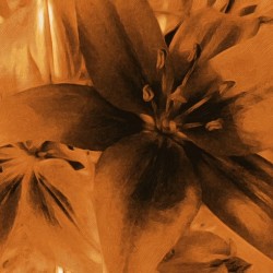 golden flower