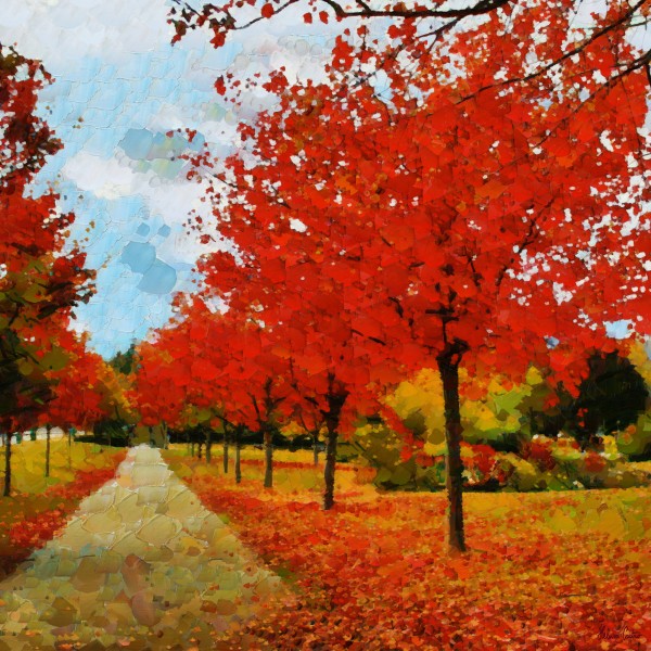 HC0309 Print