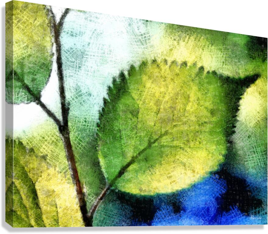 HC0270 Canvas Print