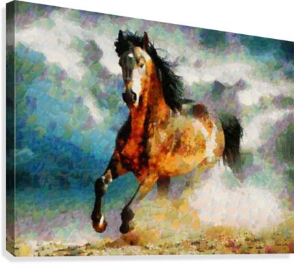 HC0255 Canvas Print