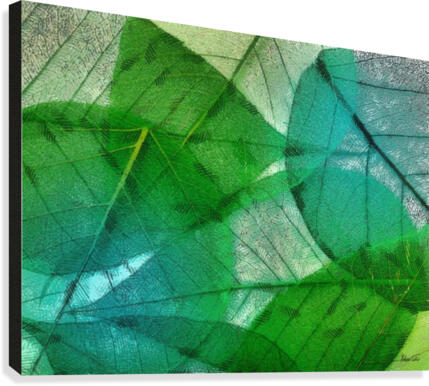 HC0272    Canvas Print