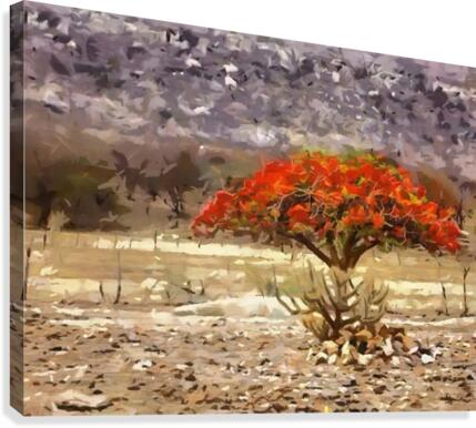 HC0254 Canvas Print
