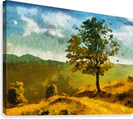HC0239 Canvas Print