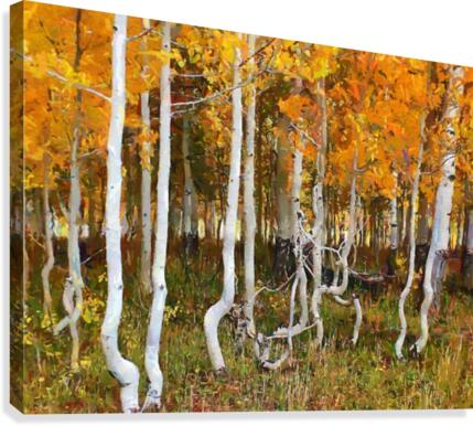 HC0313 Canvas Print