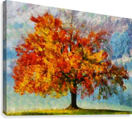 HC0310 Canvas Print