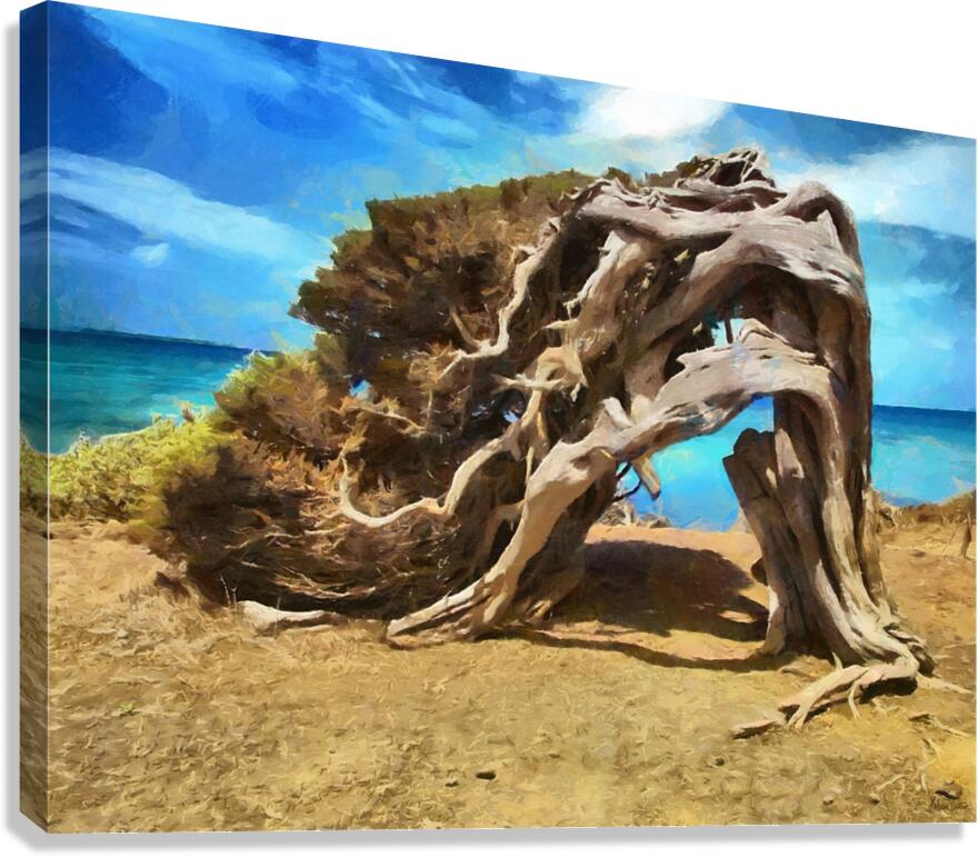 HC0312 Canvas Print