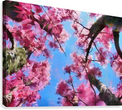 HC0294 Canvas Print
