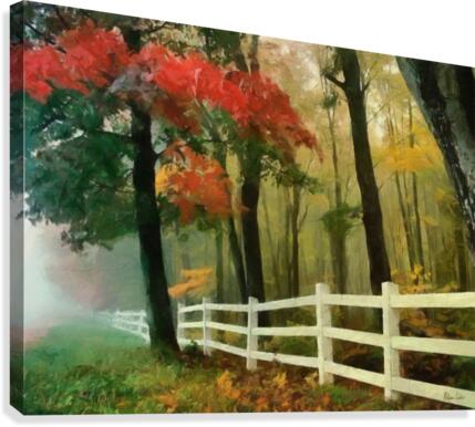 HC0300 Canvas Print