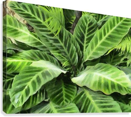 HC0283 Canvas Print