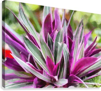 HC0285 Canvas Print