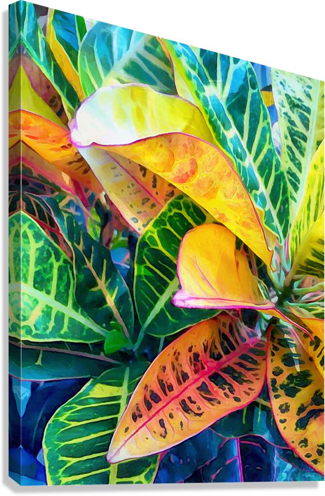 HC0803   Canvas Print