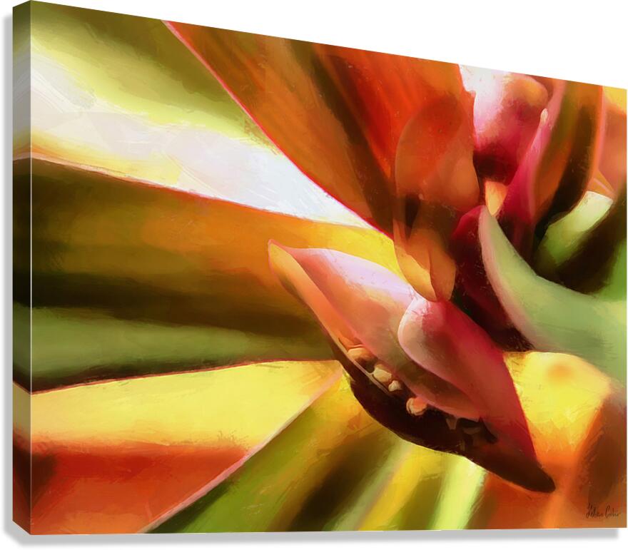 HC0986   Canvas Print