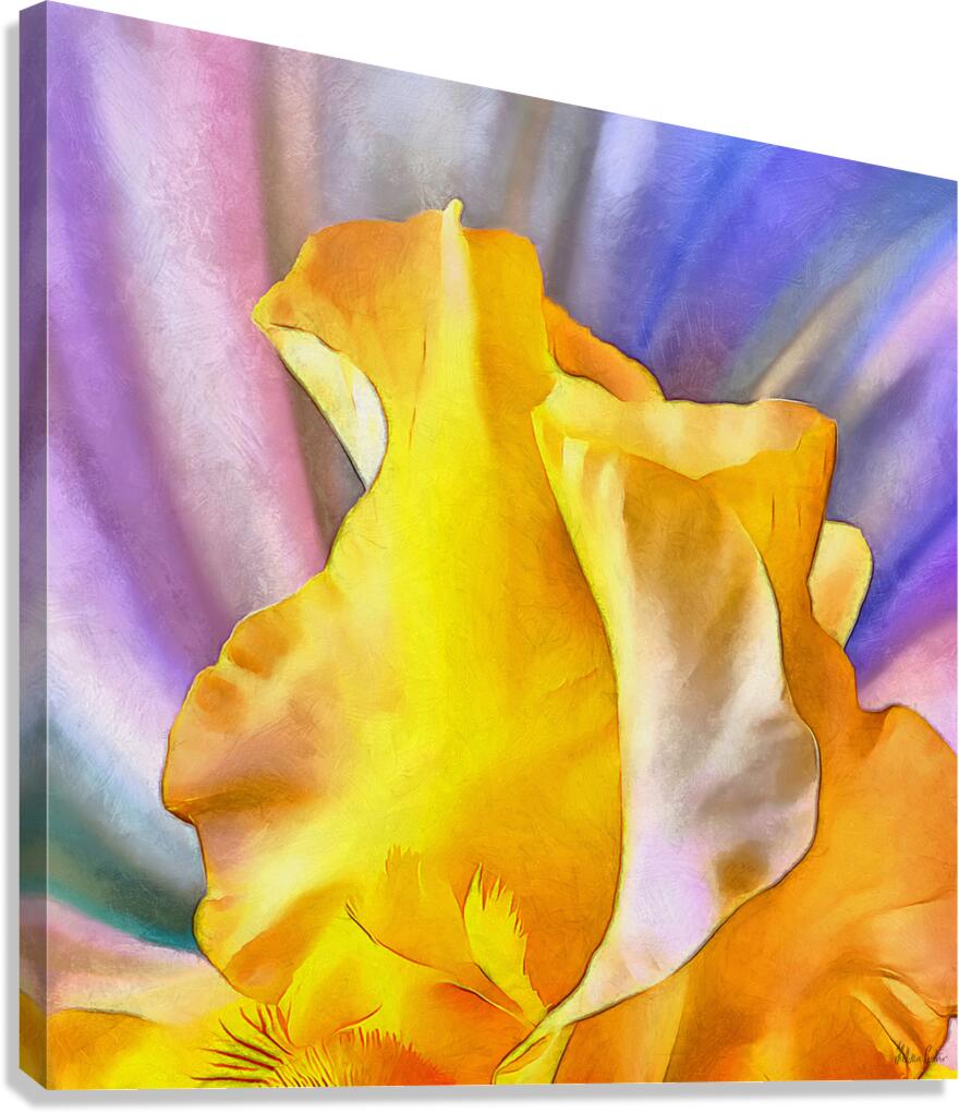 HC0946    Canvas Print