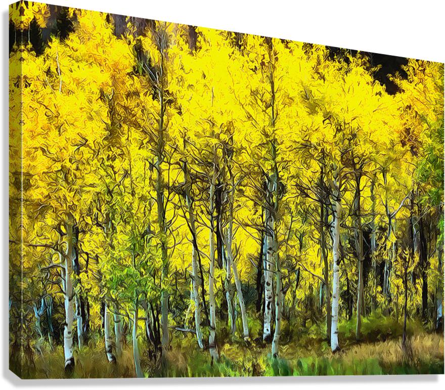 HC0998    Canvas Print