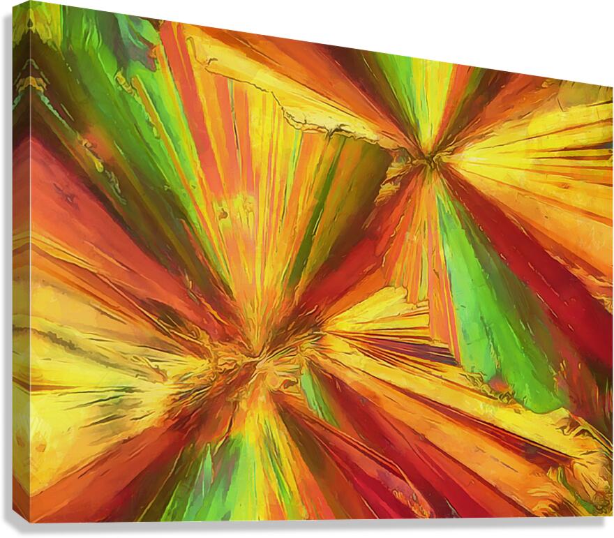 HC0931   Canvas Print