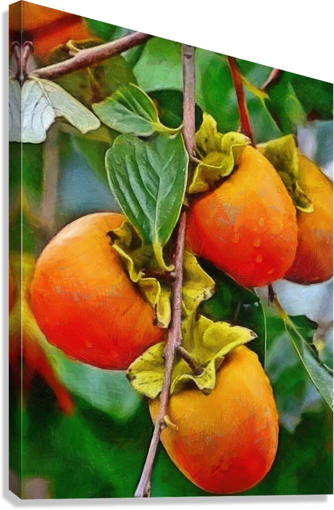 HC0896  Canvas Print