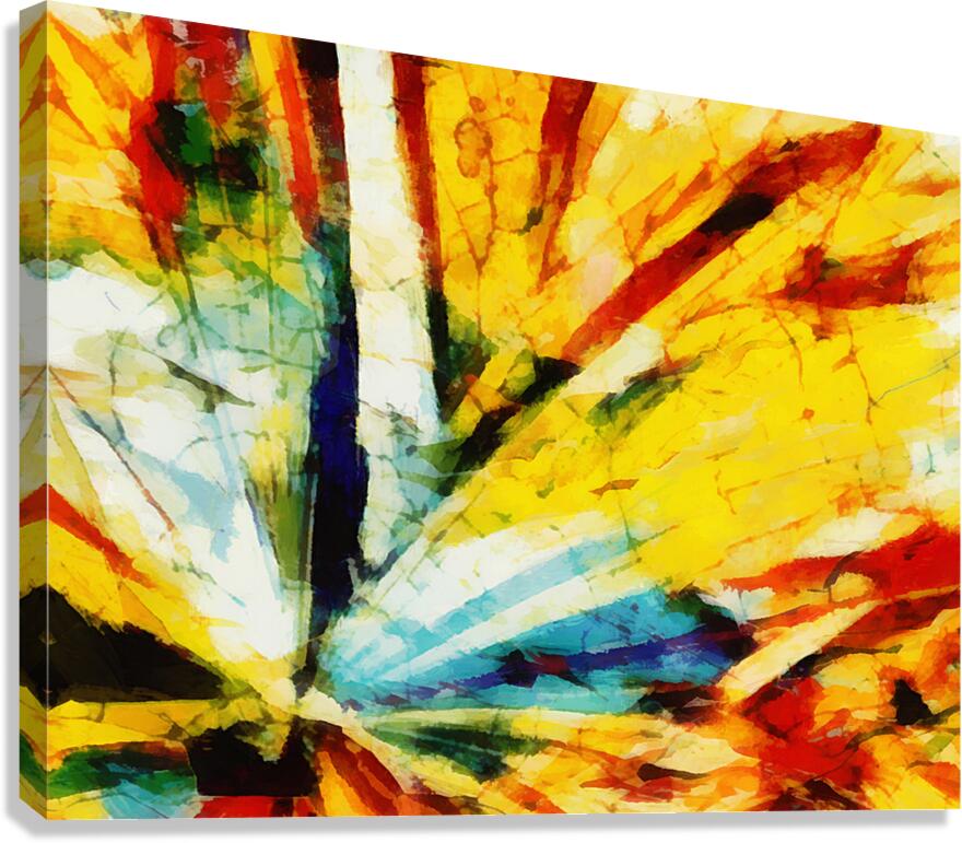 HC0927  Canvas Print