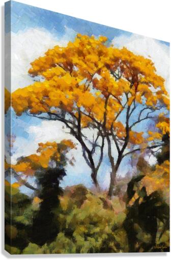 HC0874    Canvas Print