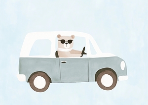 Bear driving 