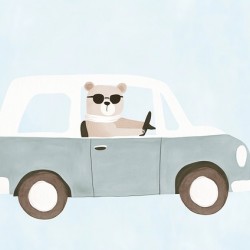 Bear driving 
