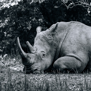 Thanks for Noticin Me