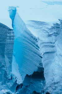 Iceberg Collection  2