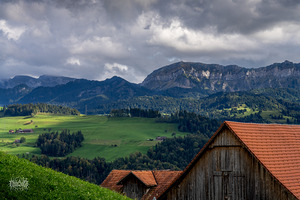 Rollin Rollin Rollin Rollin