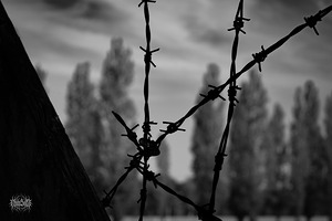 They Cannot Hurt Him Anymore